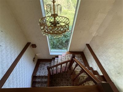 Picture 16